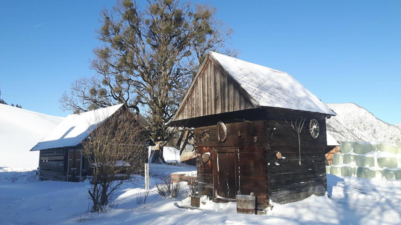 普鲁格恩Kulmerhof - Farm公寓 外观 照片